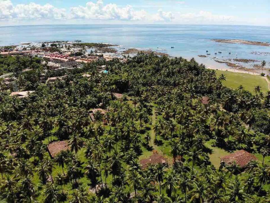 Casinha Jardim Das Palmeiras Morro de São Paulo Exterior foto