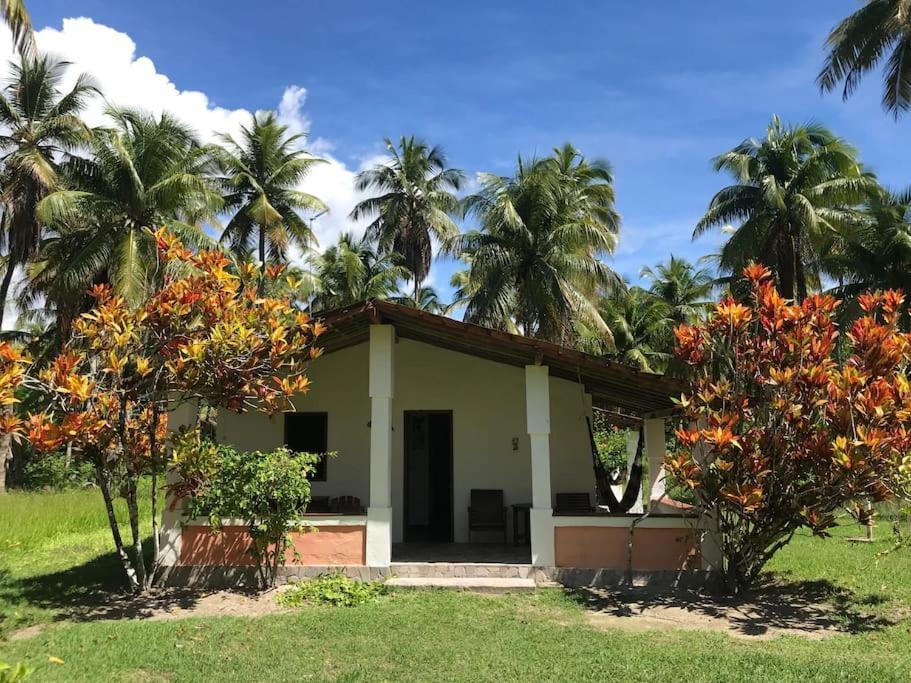 Casinha Jardim Das Palmeiras Morro de São Paulo Exterior foto