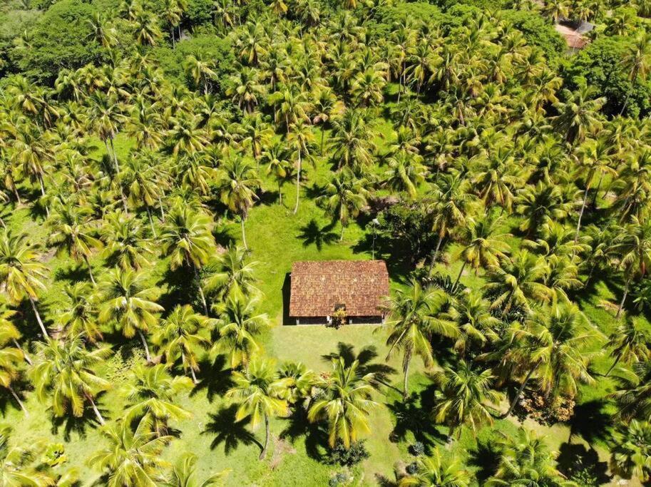 Casinha Jardim Das Palmeiras Morro de São Paulo Exterior foto